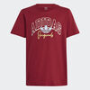 T-SHIRT COLLEGIATE GRAPHIC PACK BF