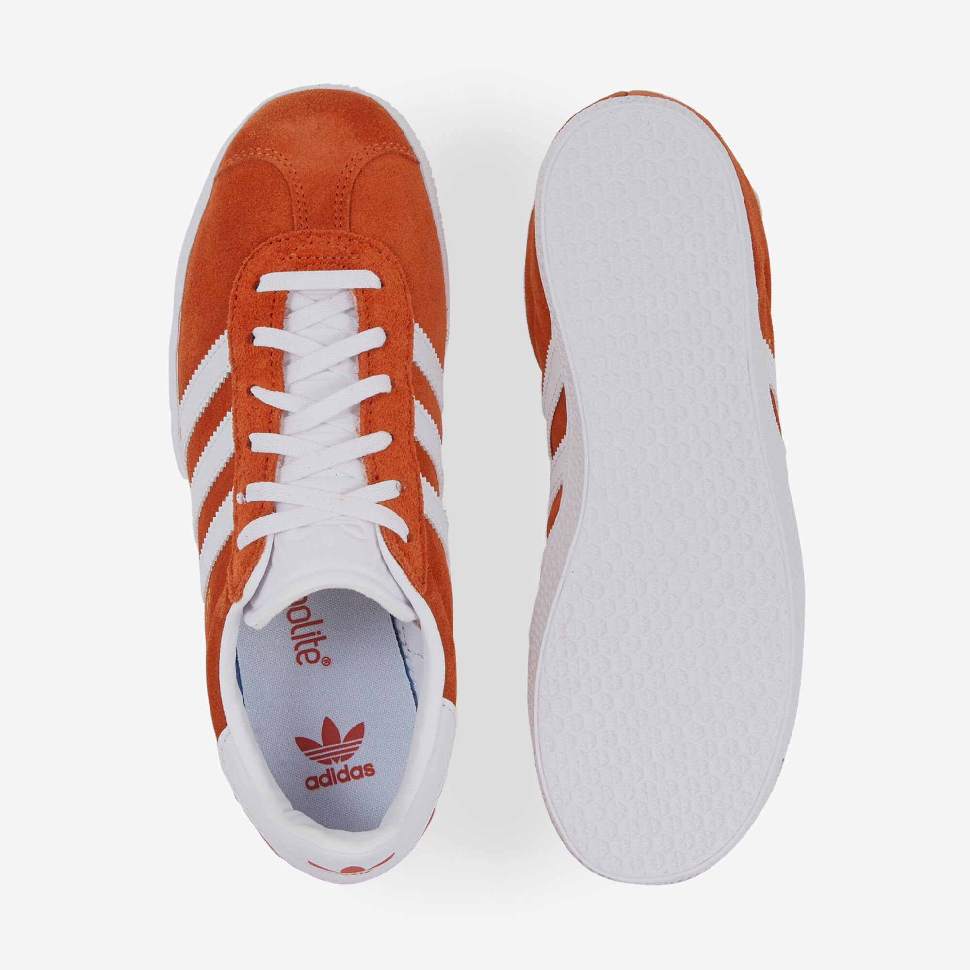 GAZELLE FADED ARCHIVE