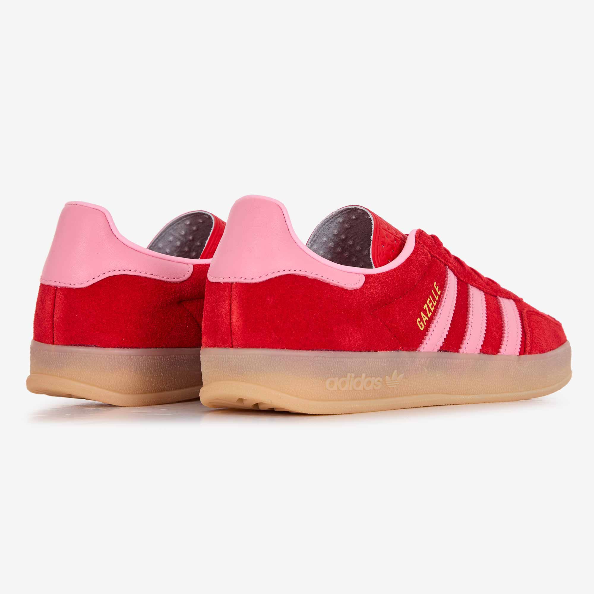 Gazelle Indoor - vue 4