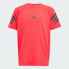 null : Pure Ruby / Black