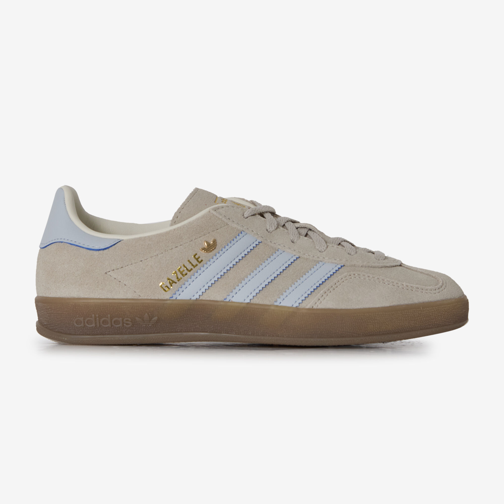 Gazelle Indoor
