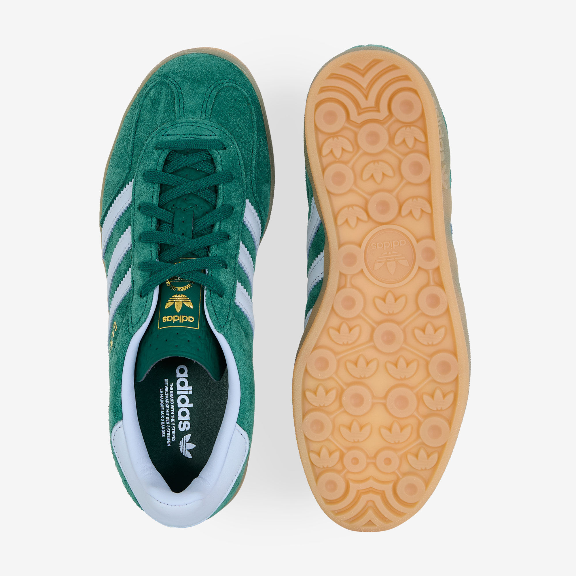 Gazelle Indoor - vue 3