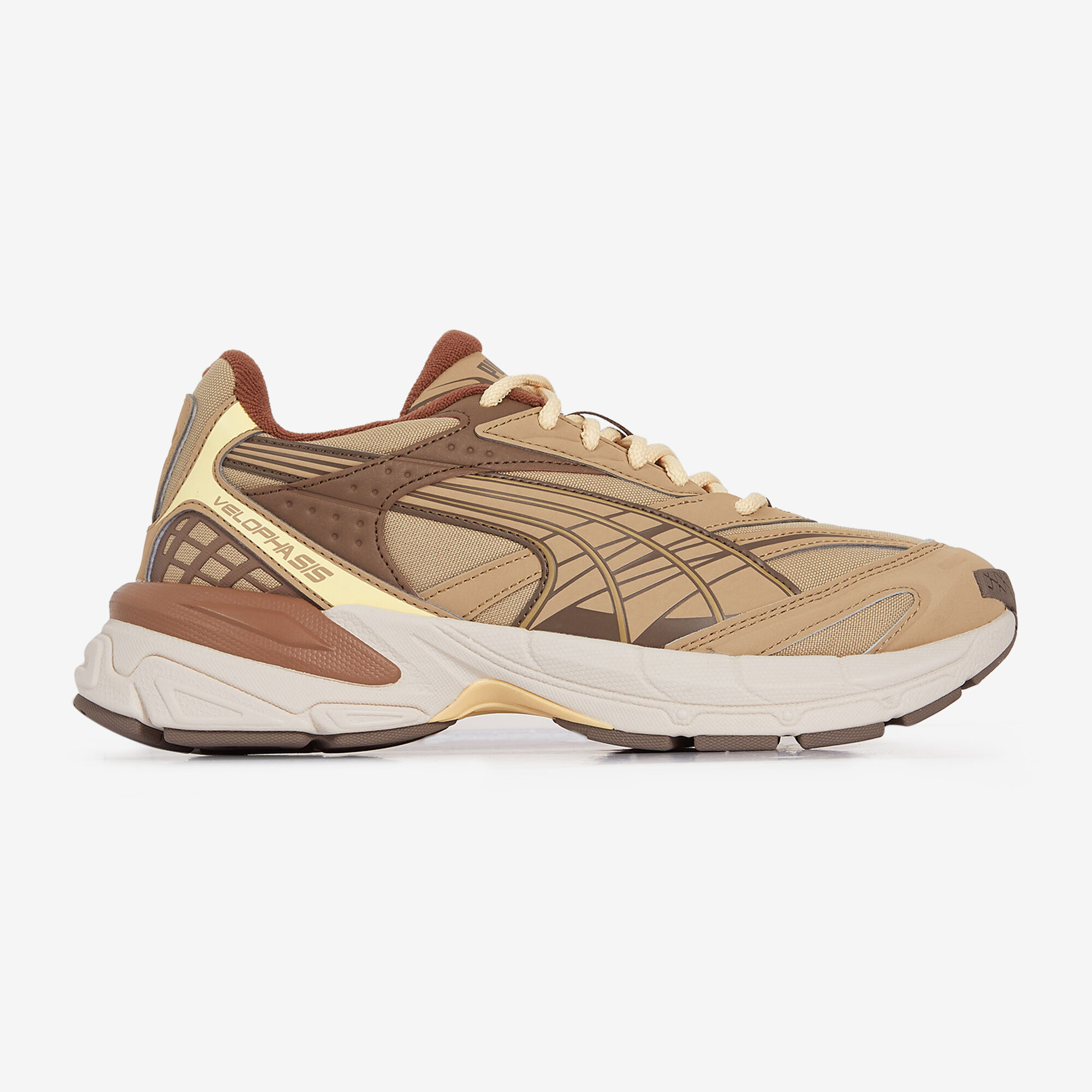 Velophasis  Beige/marron