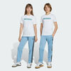 null : Ash Blue