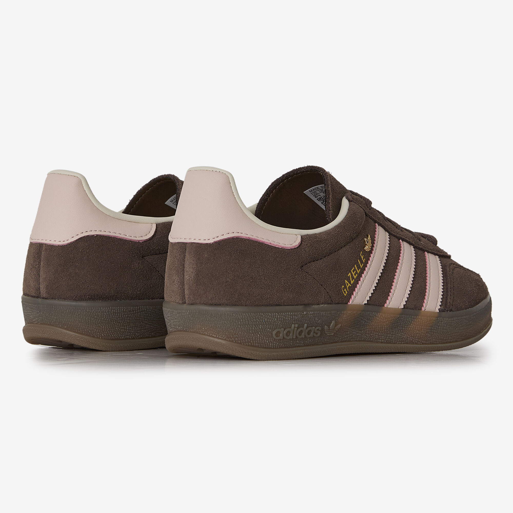 Gazelle Indoor - vue 4