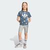 null : Night Indigo / Multicolor