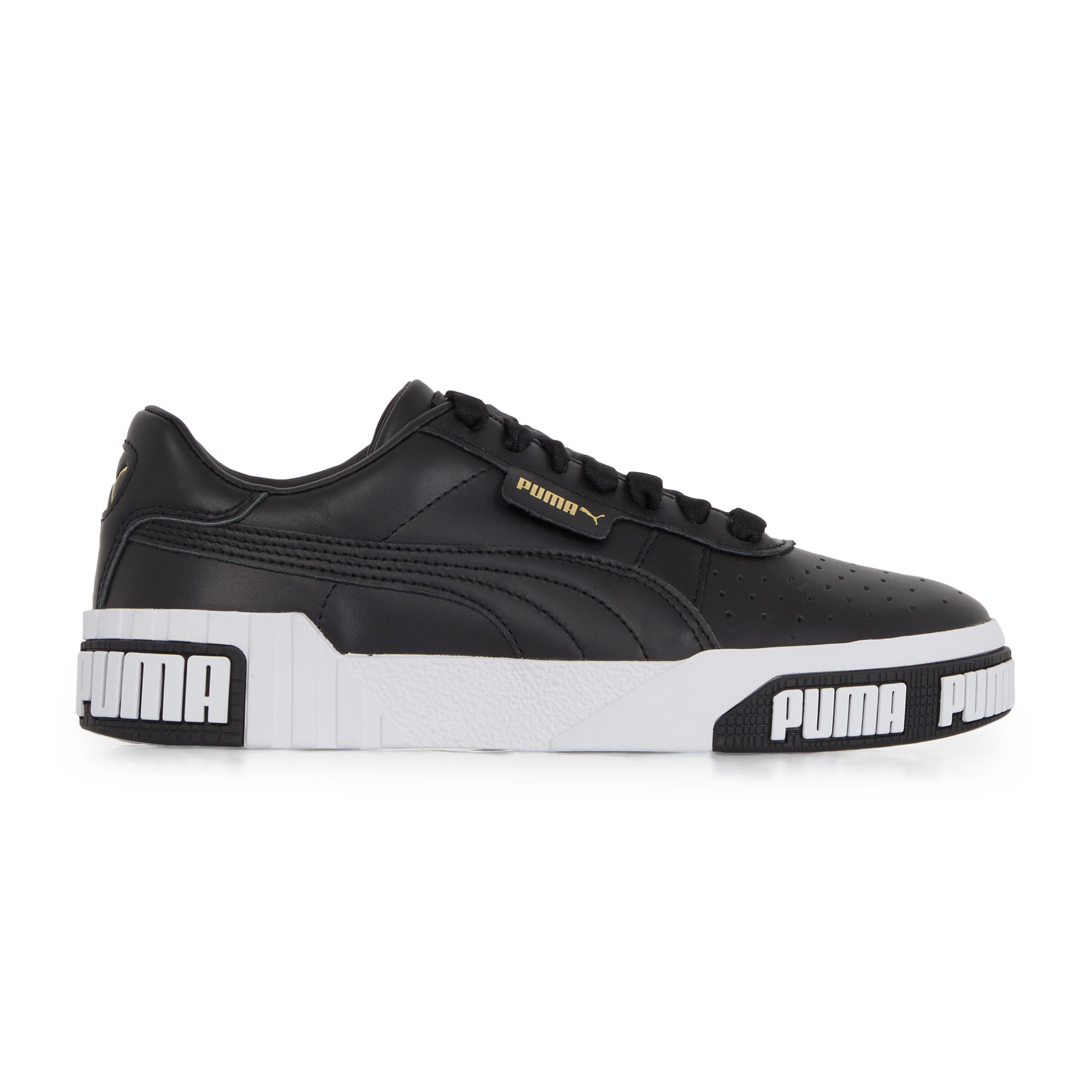 photo puma noir