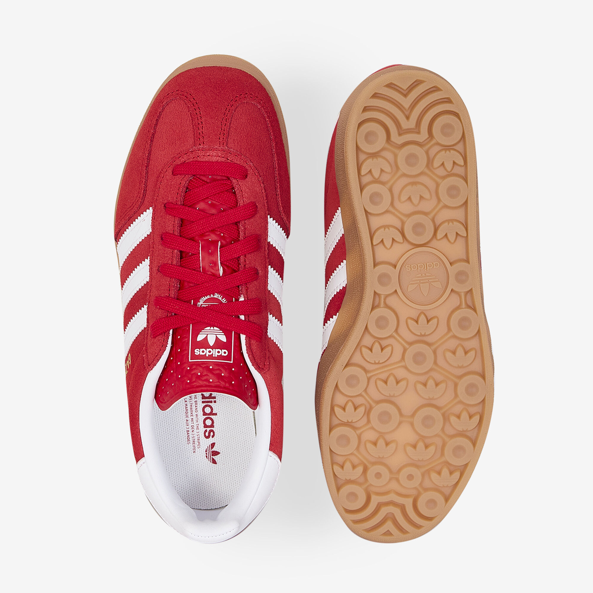 Gazelle Indoor  Rouge/blanc