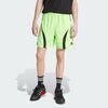 null : Signal Green / Black