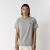 null : GRIS