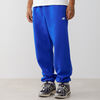 null : BLUE/WHITE
