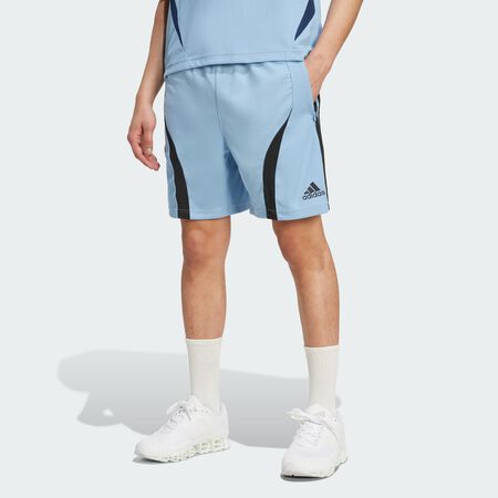 ADIDAS ORIGINALS Teamgeist Adicolor Shorts Ash Blue / Black MEN