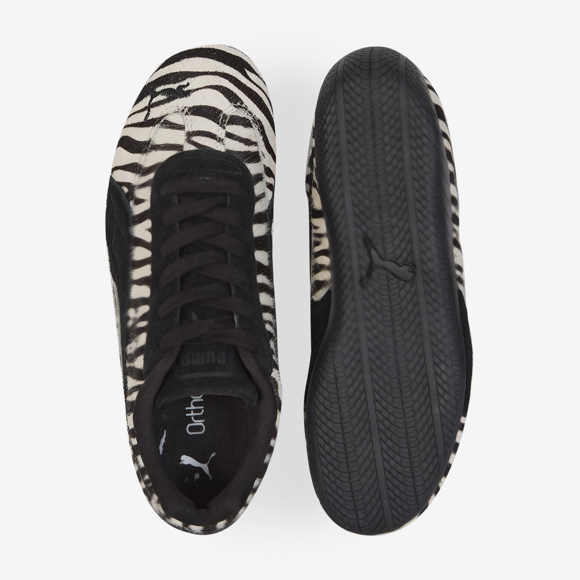 Speedcat Zebra - vue 3