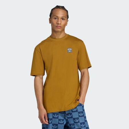 Wabash Loose Tee : Bronze Strata