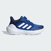 null : Bright Royal / Cloud White / Dark Blue