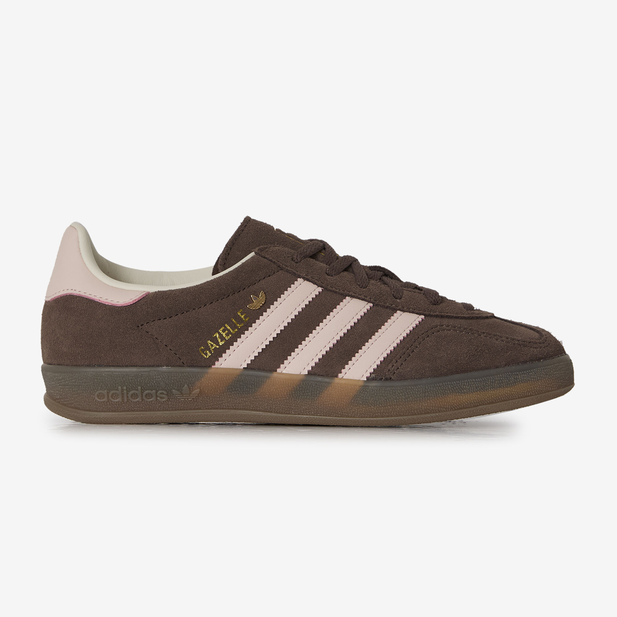 Gazelle Indoor