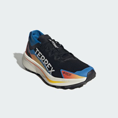 ADIDAS PERFORMANCE Chaussure de trail running Terrex Agravic GTX Core Black / Cloud White / Ray Blue HOMME