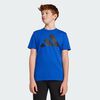 null : Royal Blue / Black