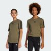 null : Olive Strata / Black