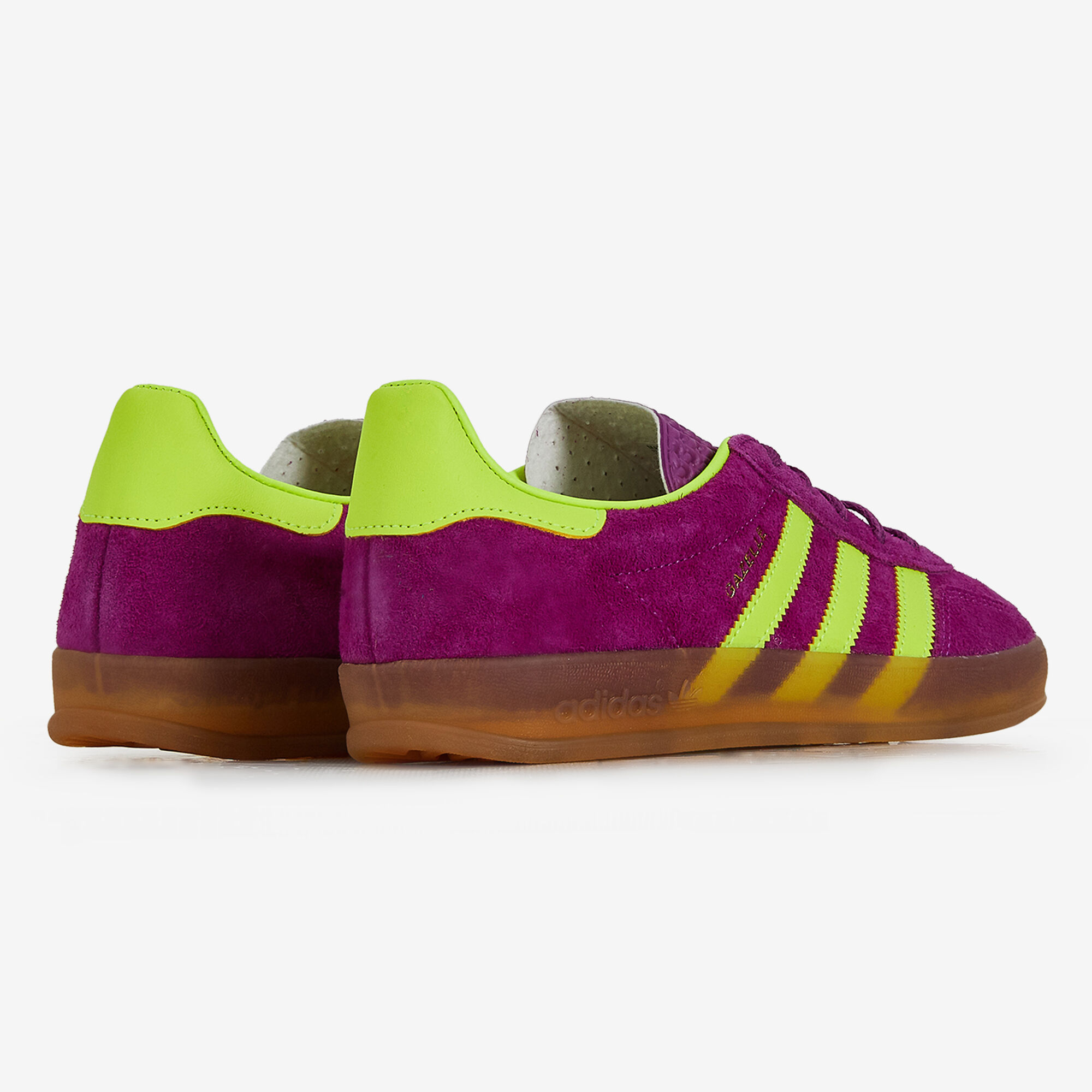 Gazelle violette sale