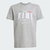 null : Medium Grey Heather