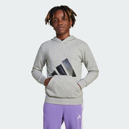 ADIDAS SPORTSWEAR Sweat-shirt à capuche Essentials Enfants Medium Grey Heather / Black JUNIOR