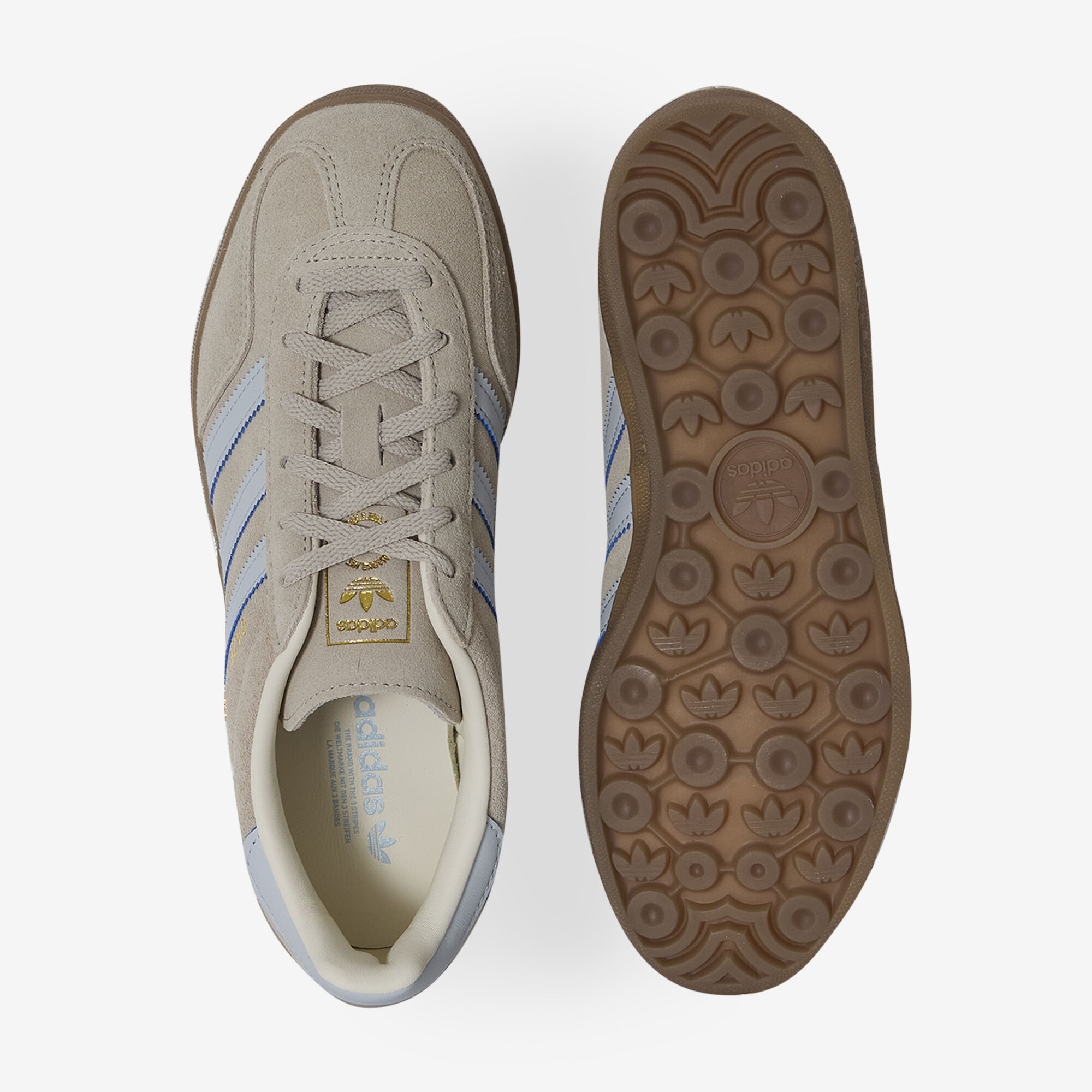 Gazelle Indoor - vue 3