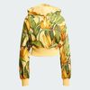 null : Semi Spark / Bold Gold / Semi Flash Green