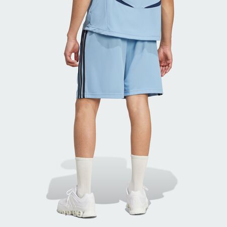 ADIDAS ORIGINALS Teamgeist Adicolor Shorts Ash Blue / Black MEN