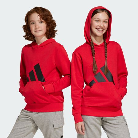 ADIDAS SPORTSWEAR Sweat-shirt à capuche Essentials Enfants Pure Ruby / Black JUNIOR