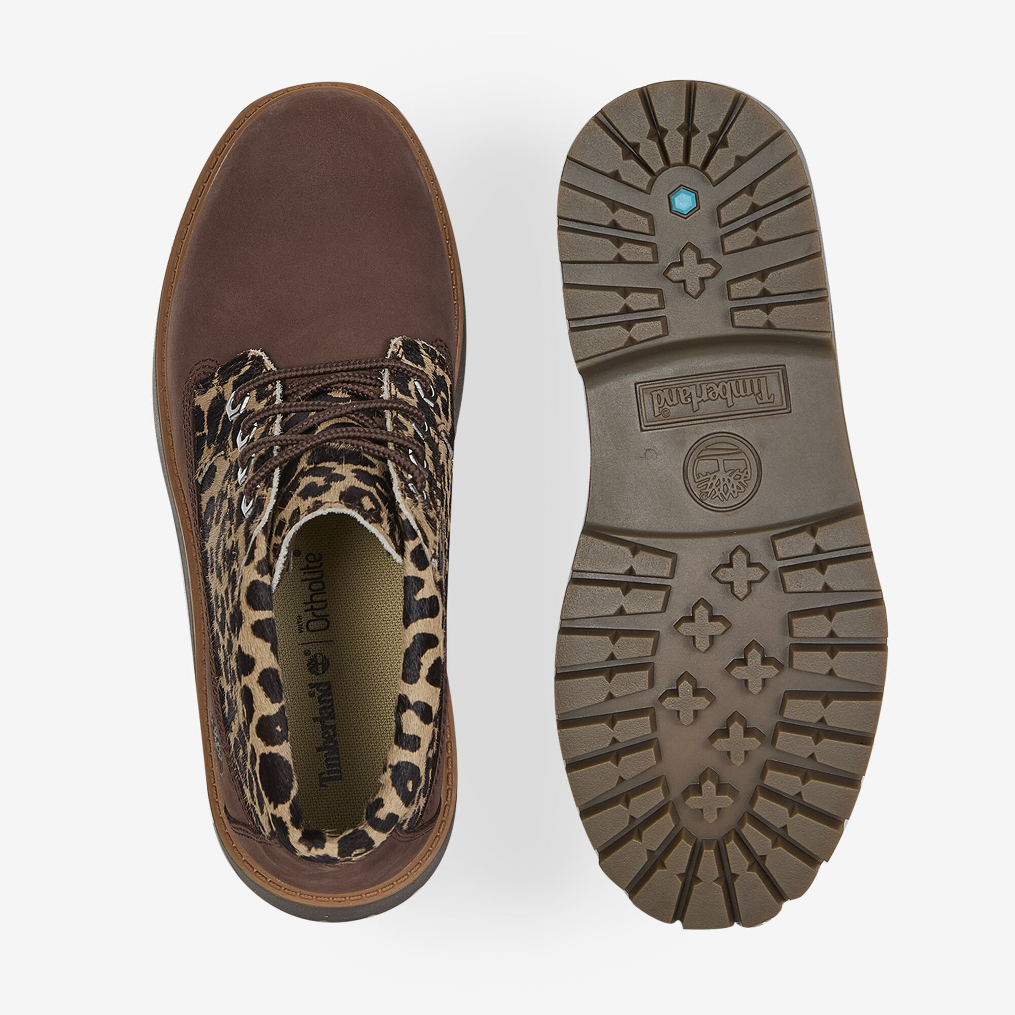 Stone Street Cheetah - vue 3