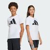 null : White / Black