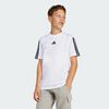 null : White / Black