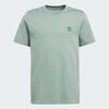 null : Silver Green