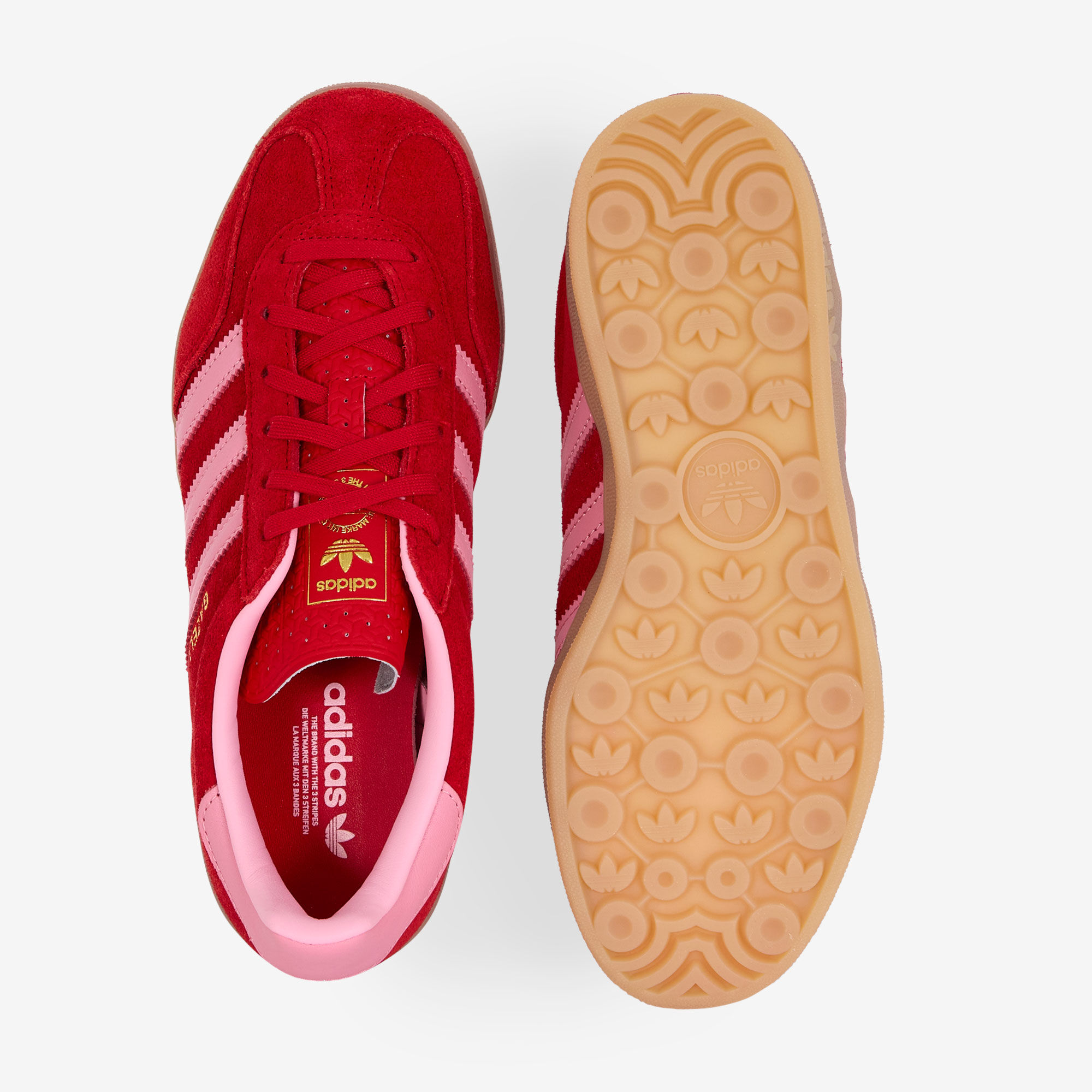 Gazelle Indoor - vue 3