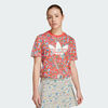 null : Semi Lucid Red / Multicolor