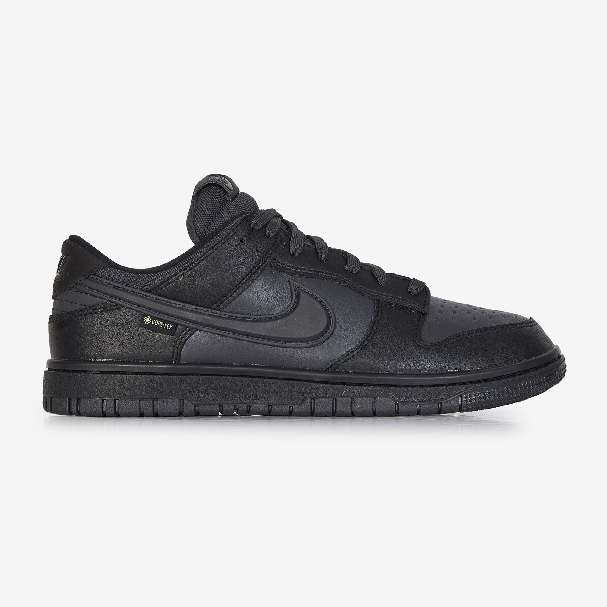 Baskets Nike DUNK LOW GTX