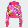 null : Bold Pink / Spring Yellow / Lucid Fuchsia