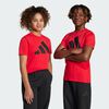null : Pure Ruby / Black