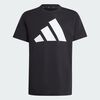 null : Black / White