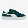 null : GREEN/WHITE