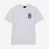 null : WHITE