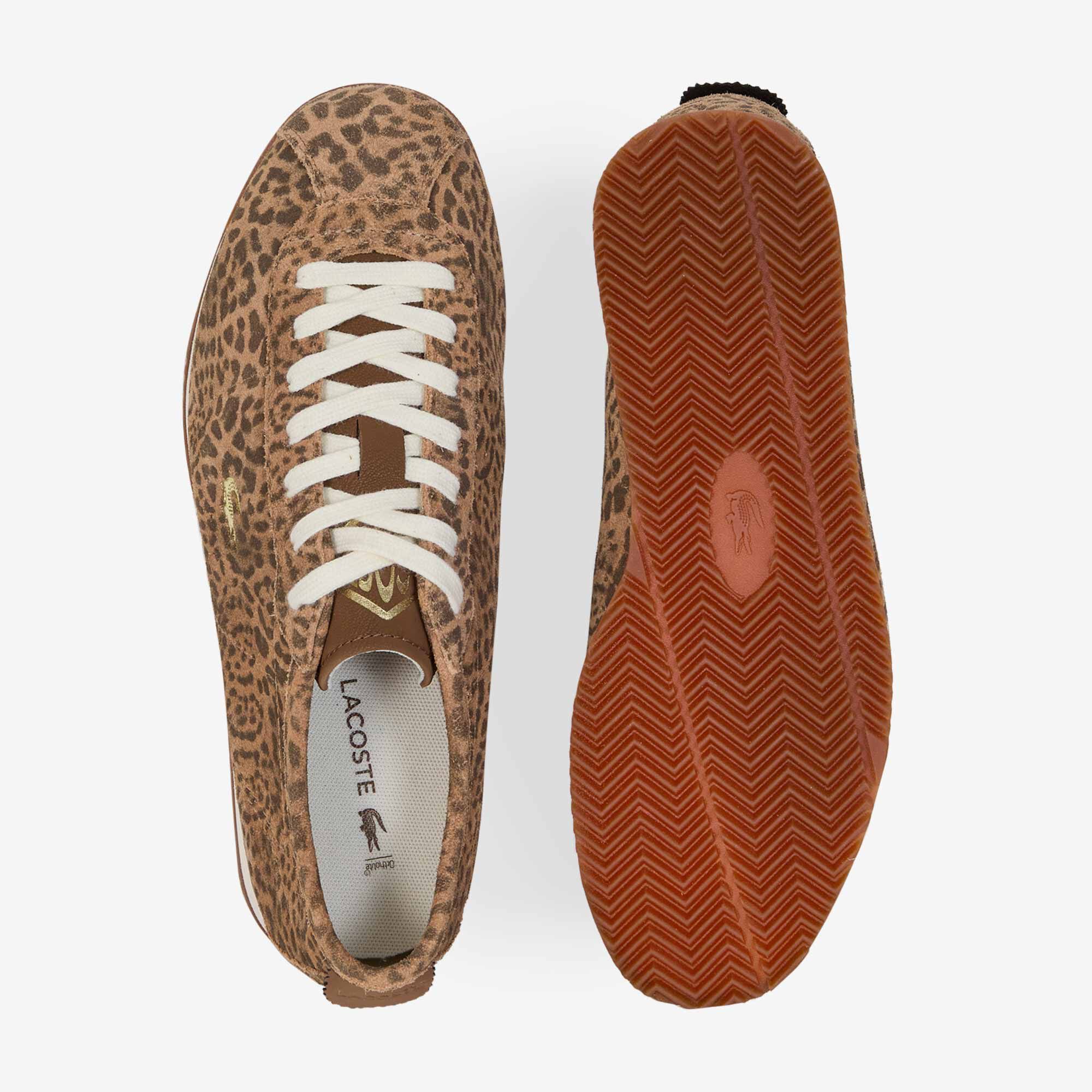 Club Cheetah - vue 3