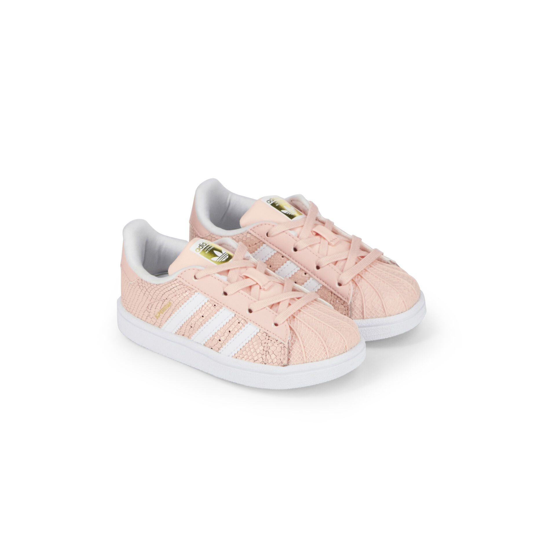 superstar reptile