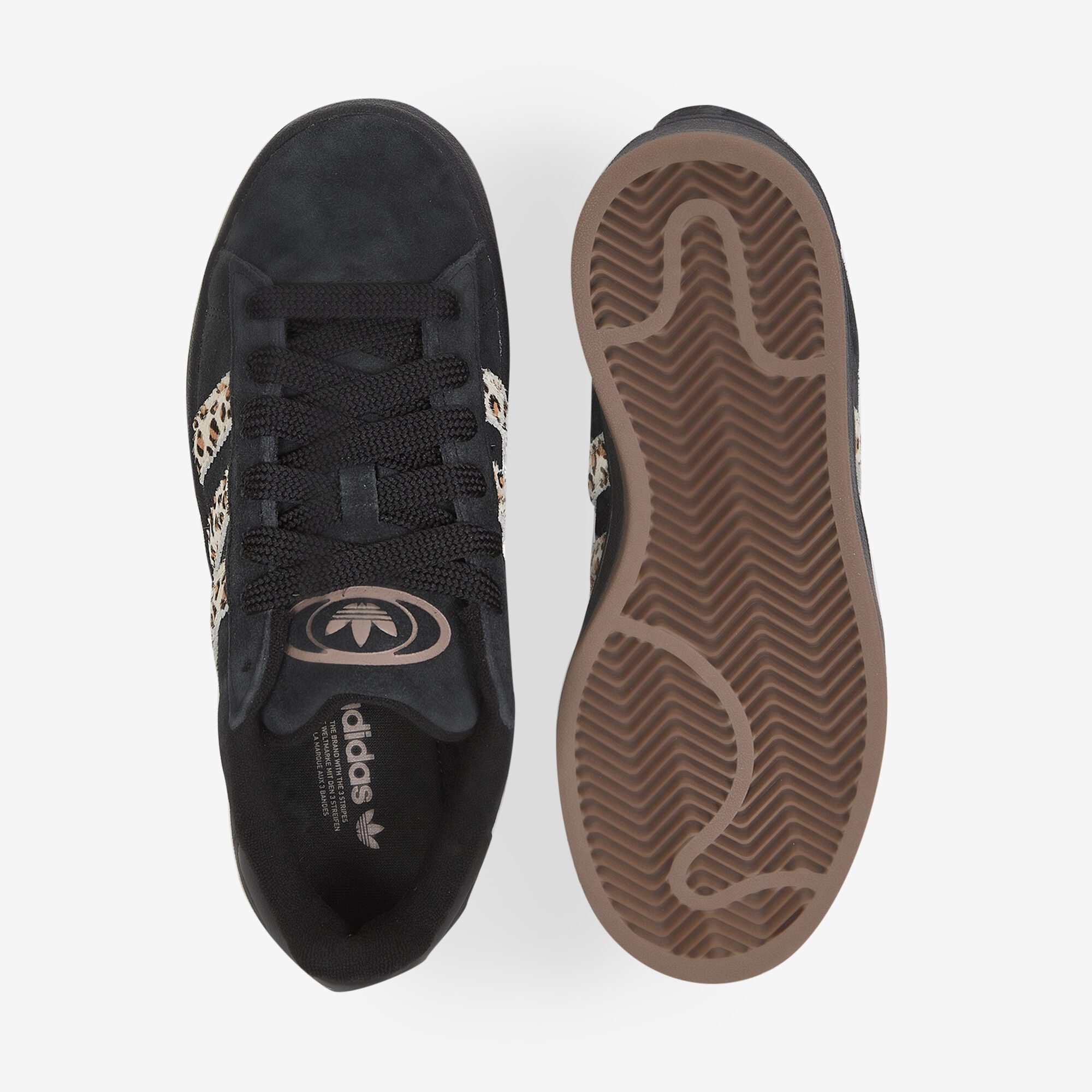 Campus 00s Tiger - vue 3