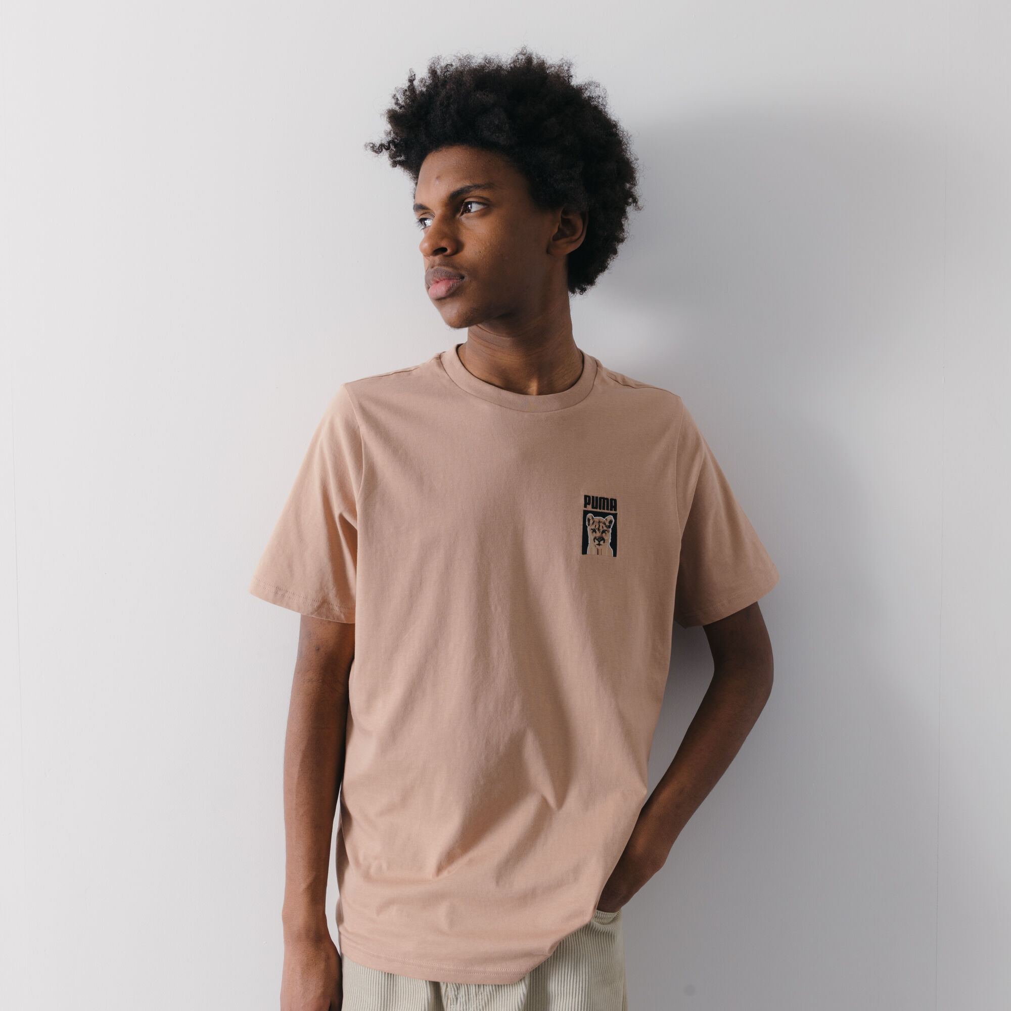 FRAMED CAT EMBROIDERY T SHIRT