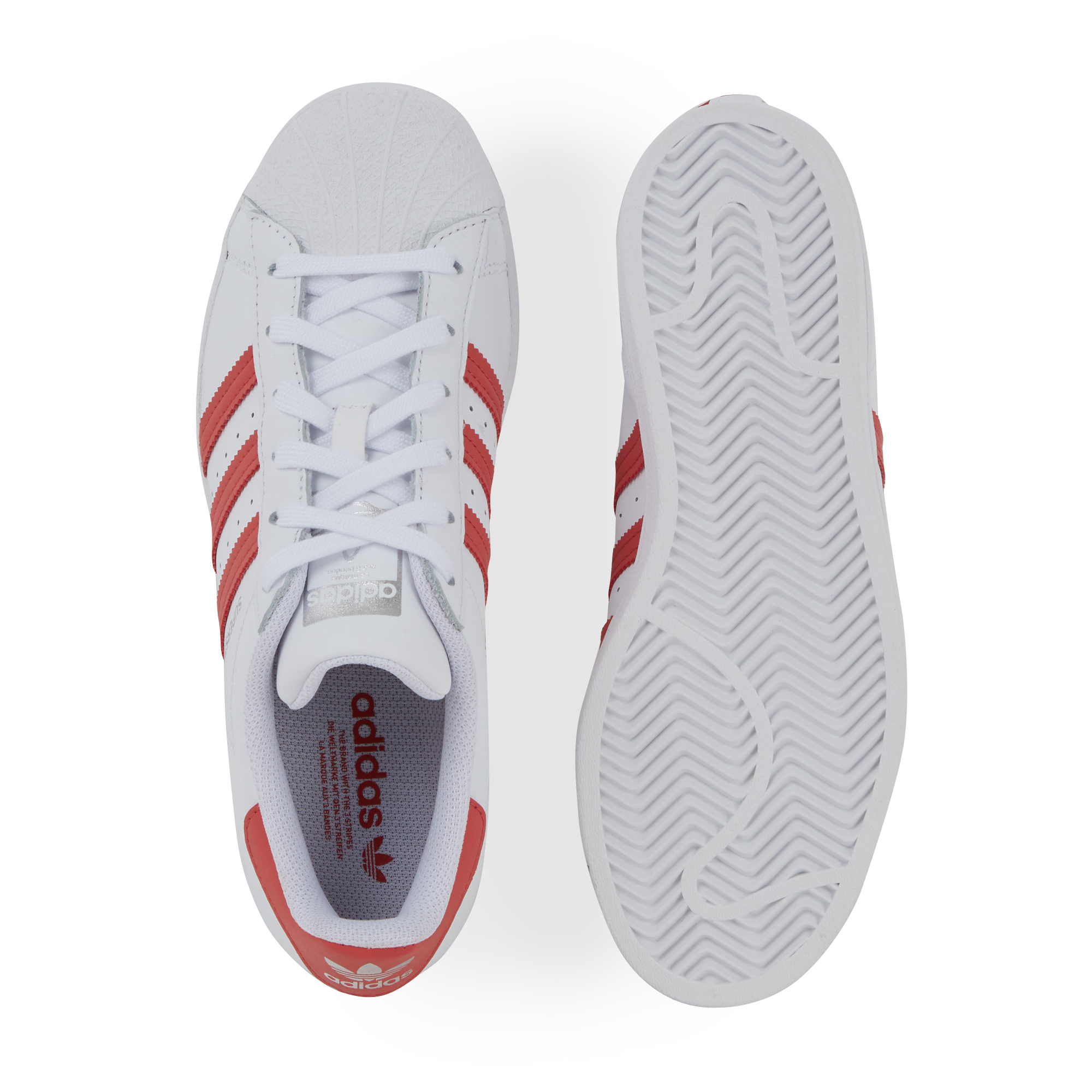 superstar bande rose