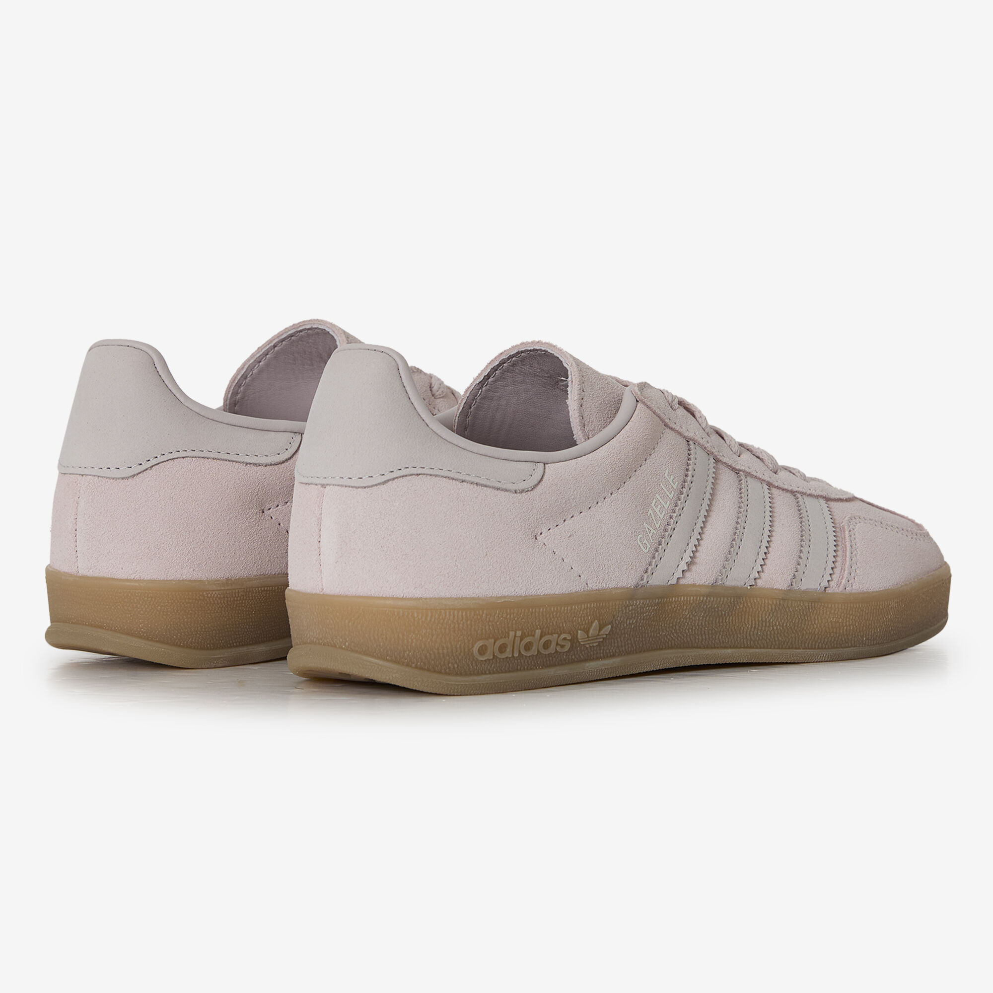 Gazelle Inddor - vue 4