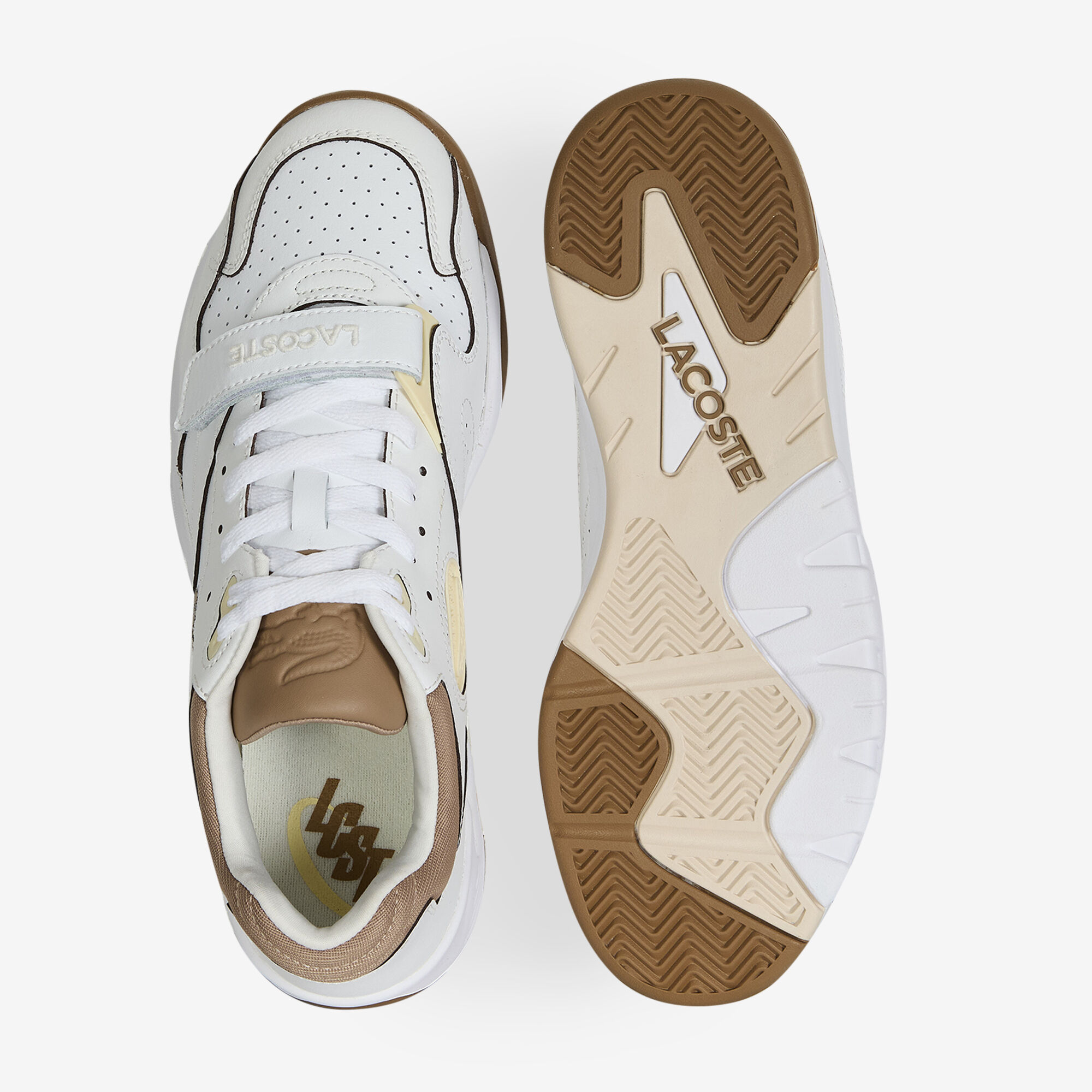 Game Trainer Pro - vue 3