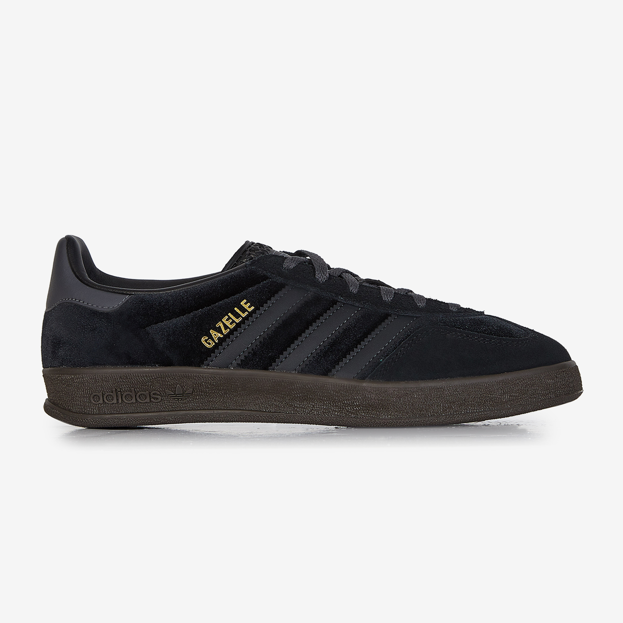 gazelle toute noir